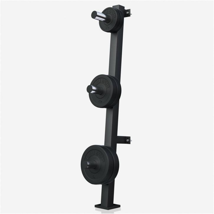 Soporte para Discos Olímpicos de Pared - Gorilla Sports ES