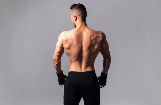 Entrena tu espalda - Gorilla Sports ES