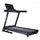 Cintas de Correr - Gorilla Sports ES