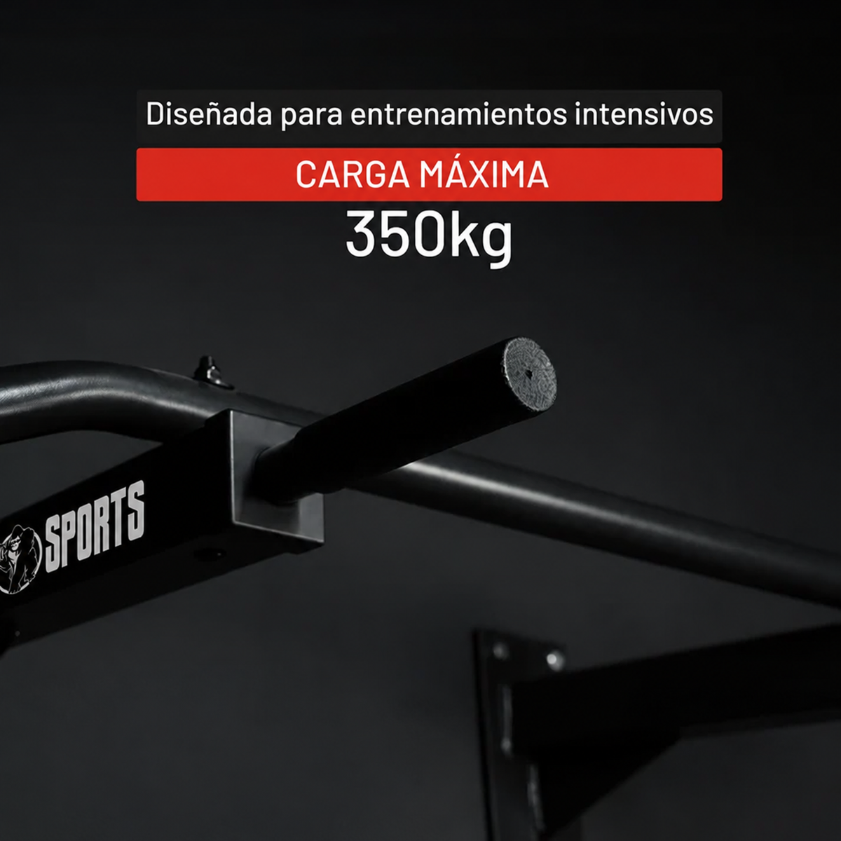 Barra de Dominadas para Pared