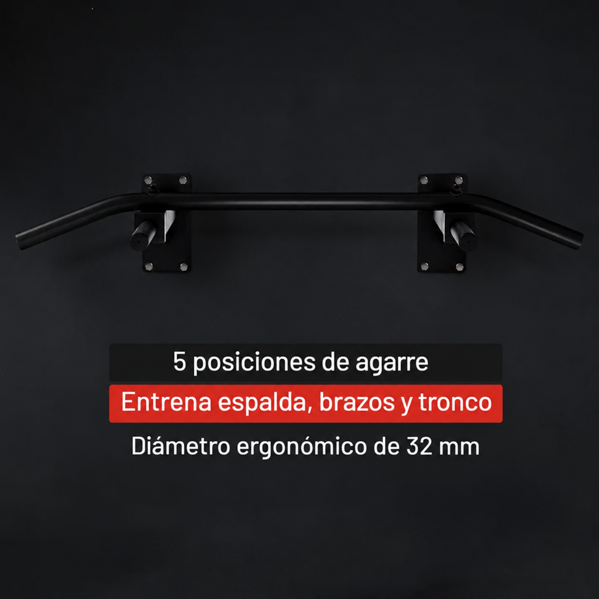 Barra de Dominadas para Pared
