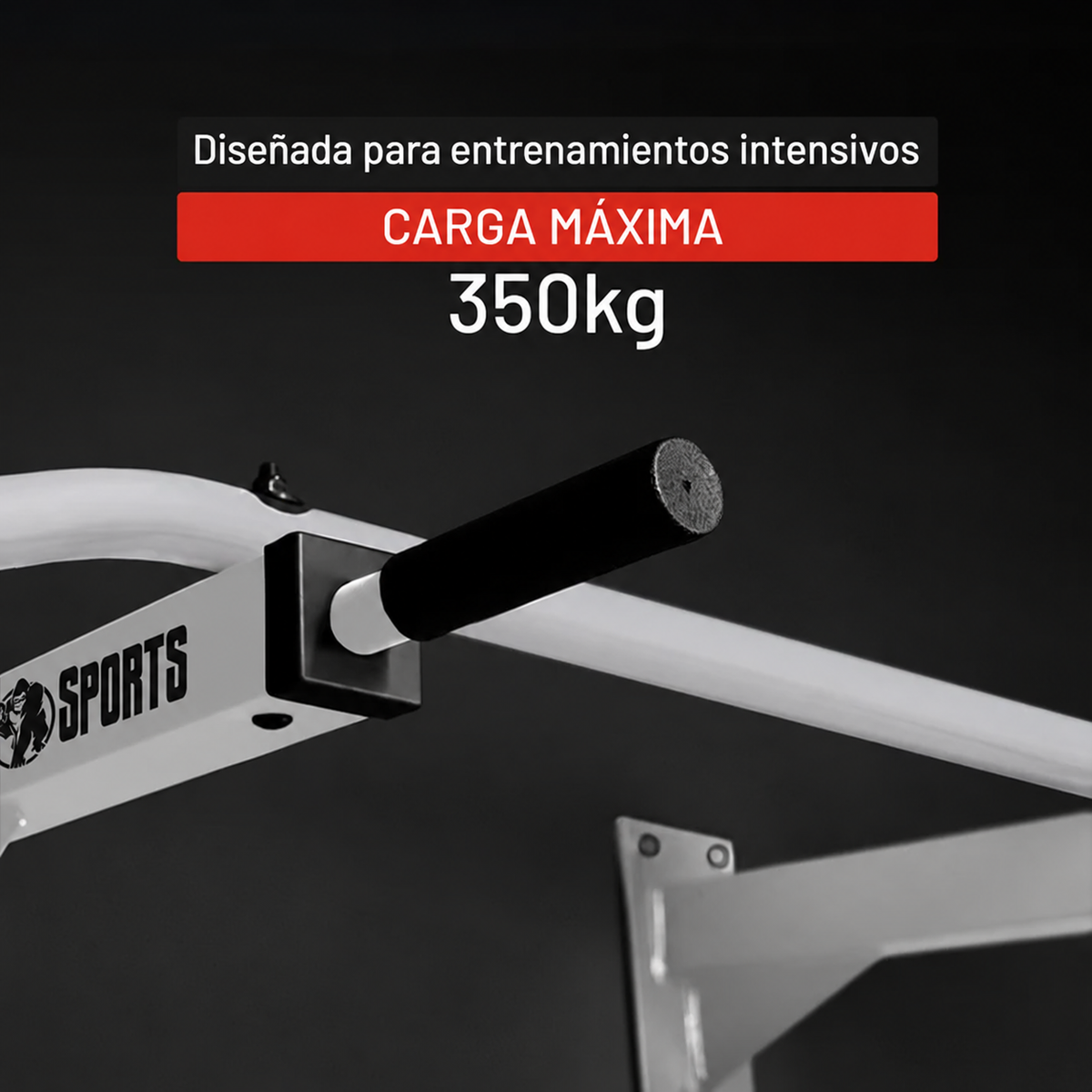 Barra de Dominadas para Pared