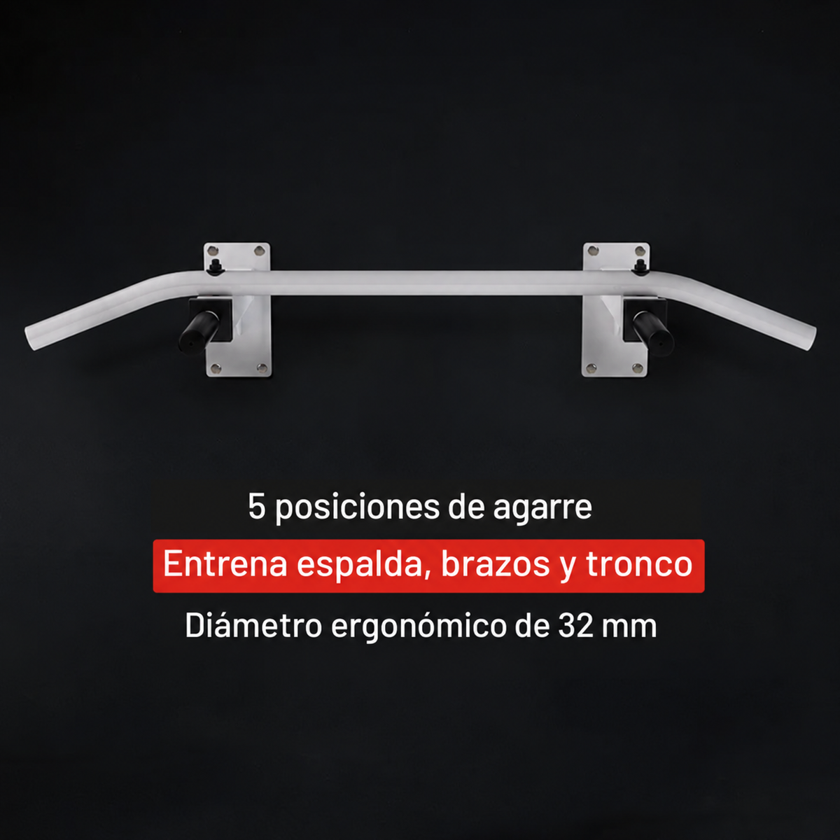 Barra de Dominadas para Pared