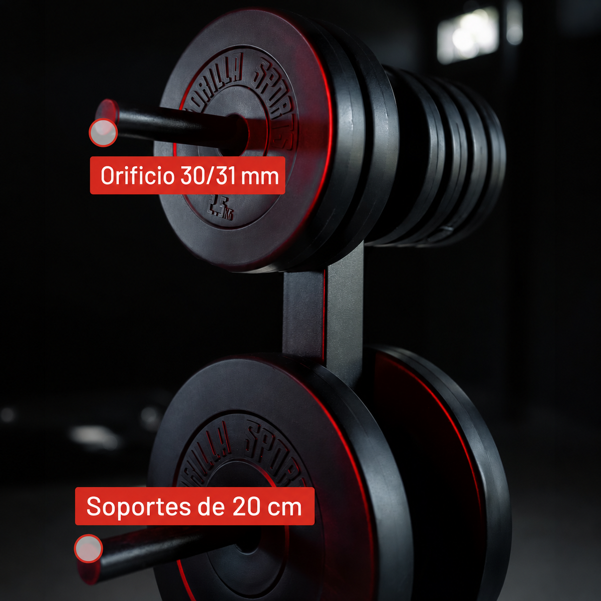 Suporte para discos de peso de 6 postes