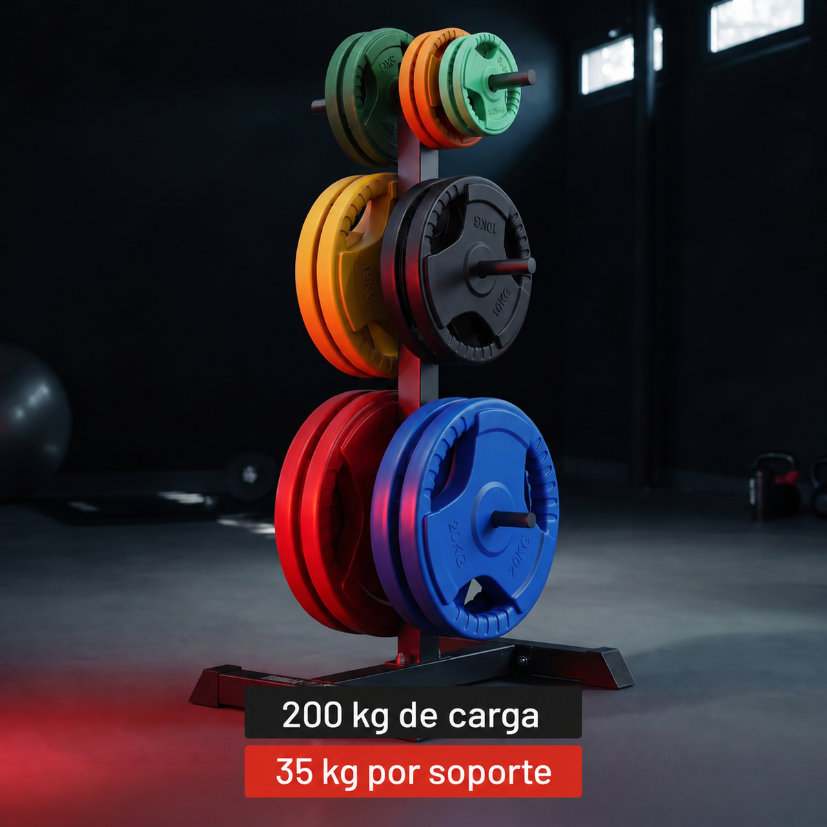 Suporte para discos de peso de 6 postes