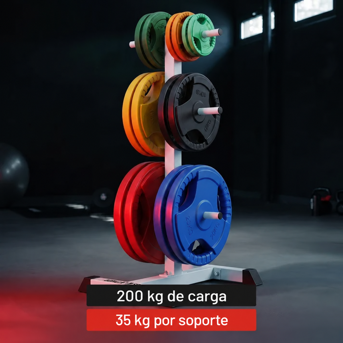 Suporte para discos de peso de 6 postes