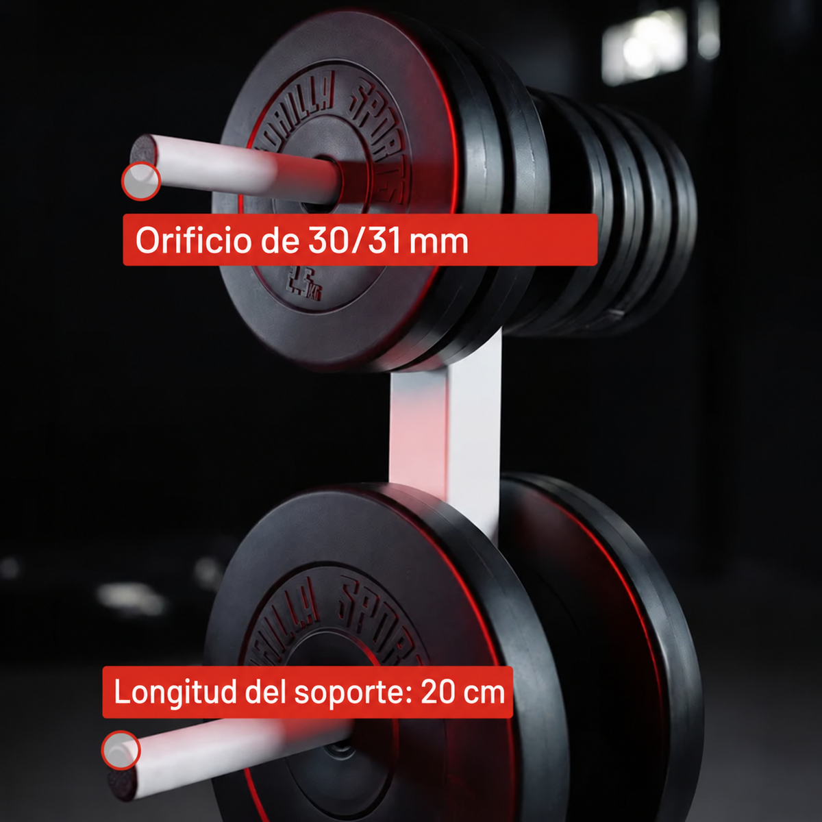 Suporte para discos de peso de 6 postes