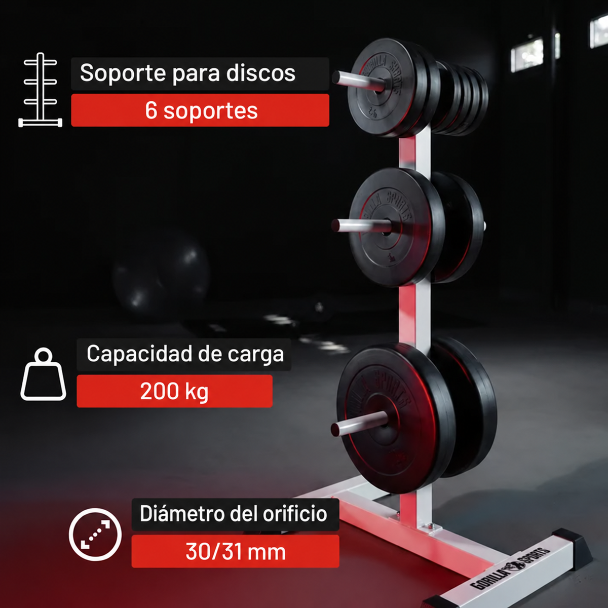 Suporte para discos de peso de 6 postes
