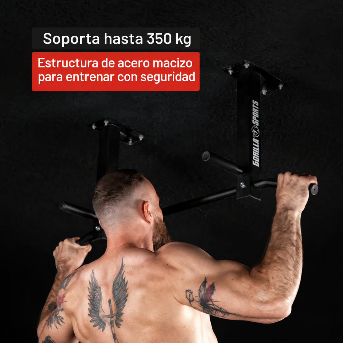Barra de Pull-Up de Teto