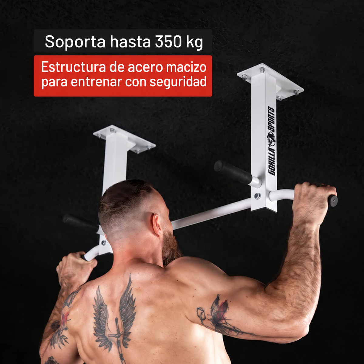 Barra de Pull-Up de Teto