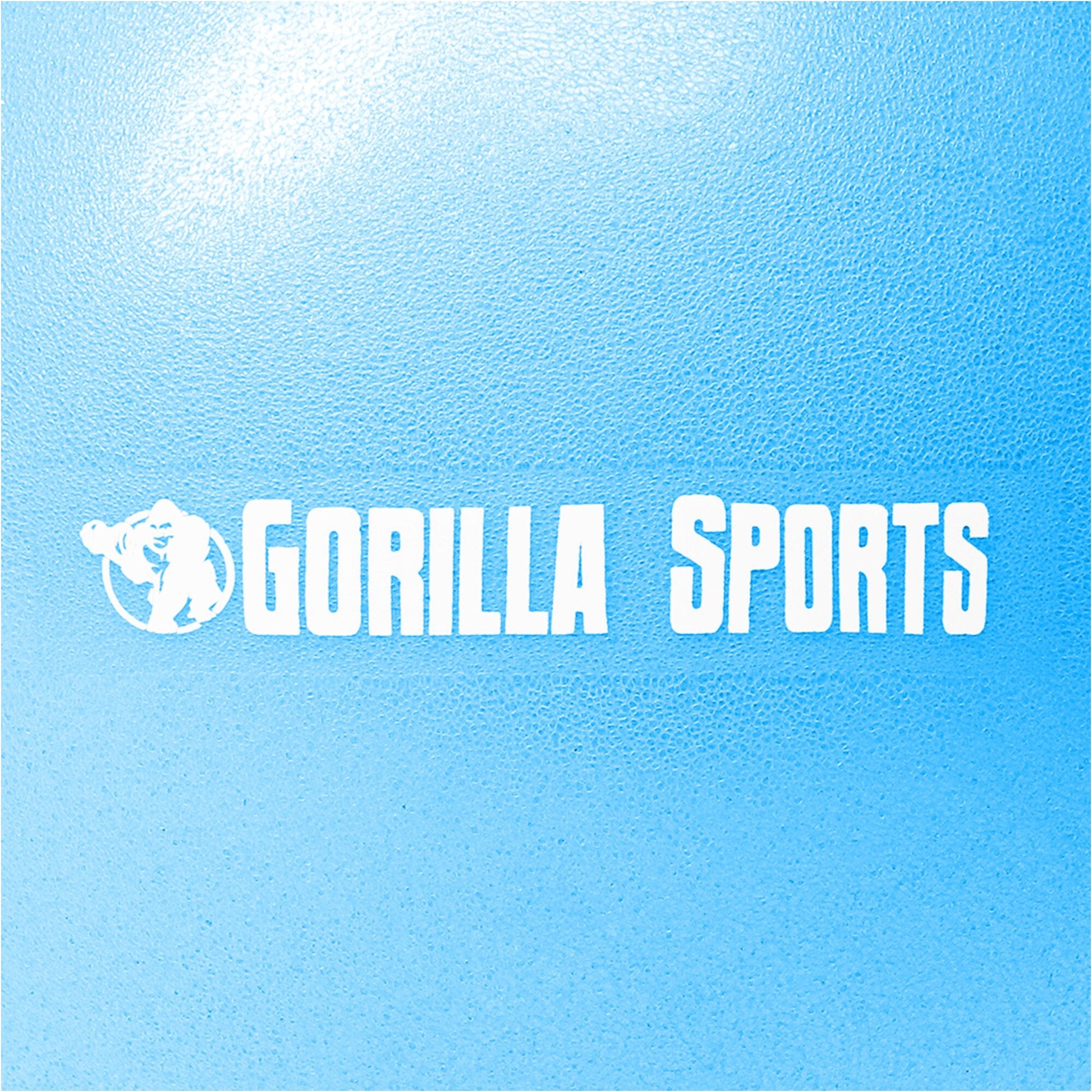 Mini Pelota Pilates 18 cm - 28 cm - Gorilla Sports ES