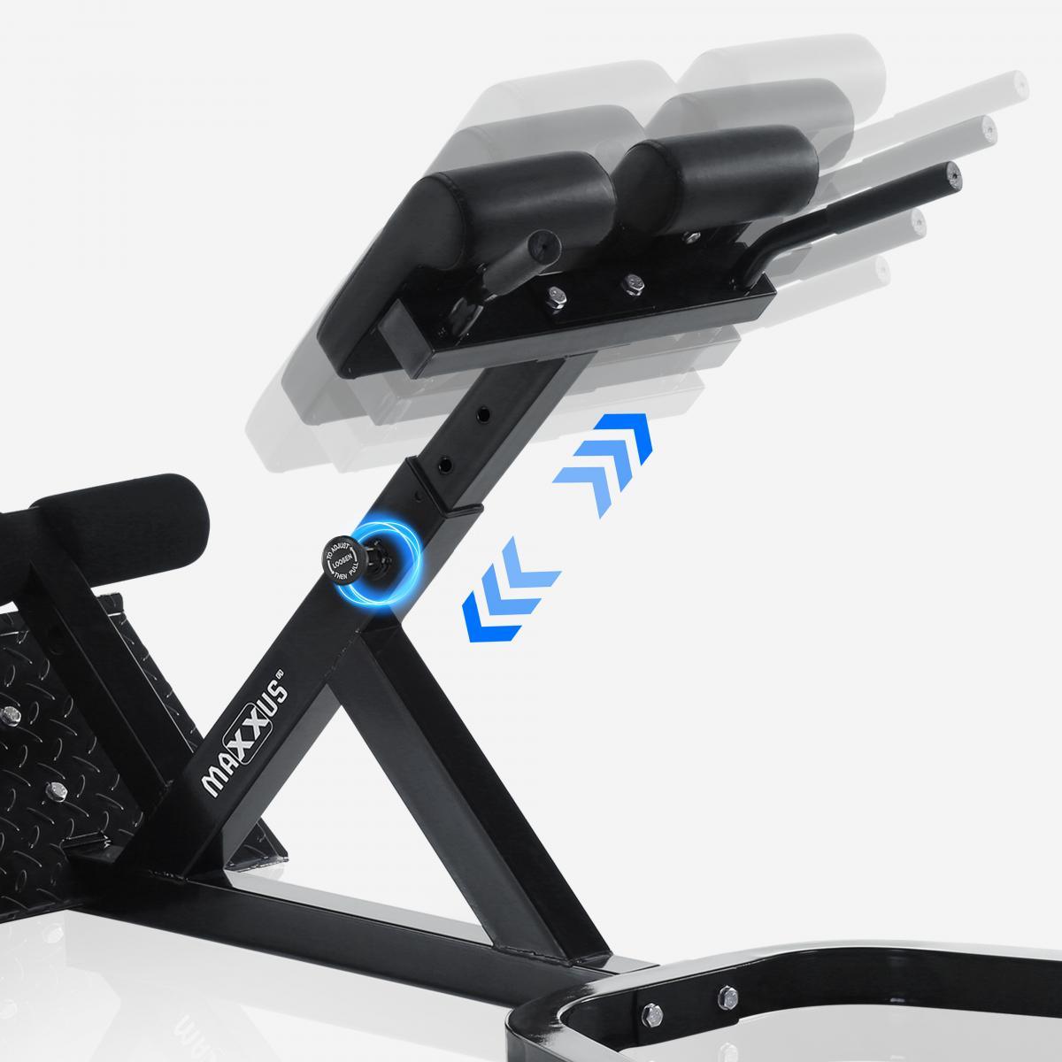 Banco de Hiperextensión - Gorilla Sports ES
